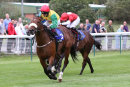 Race 2 - Marks Choice (7)