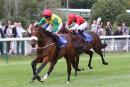 Race 2 - Marks Choice (8)