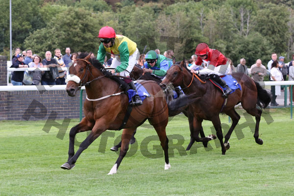 Race 2 - Marks Choice (9)