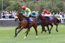 Race 2 - Marks Choice (9)