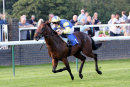 Race 2 - May Remain (8)