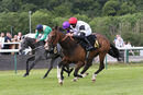 Race 2 - Merry Secret (11)