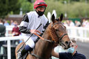 Race 2 - Merry Secret (2)