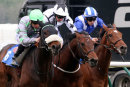 Race 2 - Meteor Light (9)