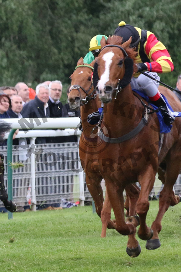Race 2 - Mighty Zip (5)