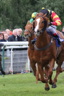 Race 2 - Mighty Zip (5)