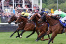 Race 2 - Mighty Zip (9)