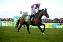 Race 2 - Molly Ollys Wishes (11)