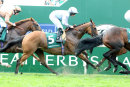Race 2 - Montaly (5)