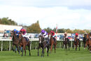 Race 2 - Moon De Vega (2)