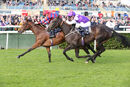 Race 2 - Moon De Vega (8)
