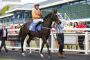 Race 2 - Mr Duepearl (2)