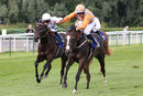 Race 2 - Mr Duepearl (7)