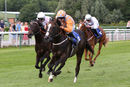 Race 2 - Mr Duepearl (8)
