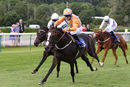 Race 2 - Mr Duepearl (9)