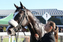 Race 2 - Mubariz (14)