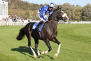 Race 2 - Mubariz (2)