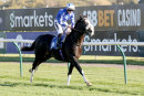 Race 2 - Mubariz (7)