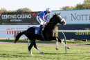 Race 2 - Mubariz (9)