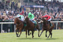 Race 2 - Muscika (7)