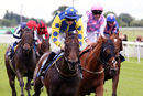 Race 2 - Music Seeker (4)