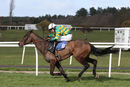 Race 2 - Musical Slave (8)