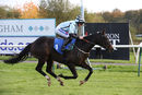 Race 2 - Mustarrid (11)