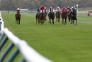 Race 2 - Mustarrid (3)