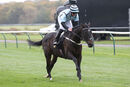 Race 2 - Mustarrid (10)
