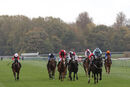 Race 2 - Mustarrid (2)