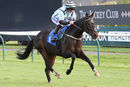 Race 2 - Mustarrid (5)