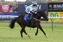 Race 2 - Mustarrid (7)
