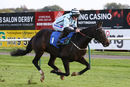 Race 2 - Mustarrid (9)