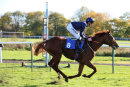 Race 2 - My Lord And Master (13)