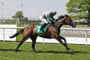 Race 2 - Mystic Meg (7)