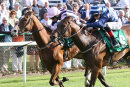 Thirsk Races (18 July 17)