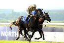 Race 2 - Neverstopdreaming (6)