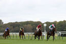 Race 2 - Noon Star (4)