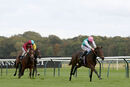 Race 2 - Noon Star (5)