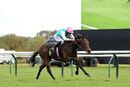 Race 2 - Noon Star (6)