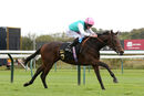 Race 2 - Noon Star (8)