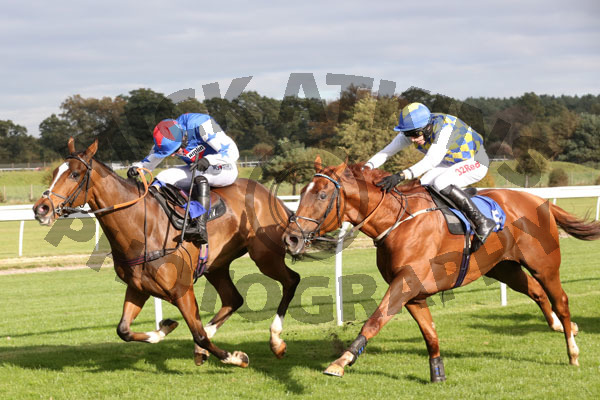 Race 2 - Normal Norman (10)