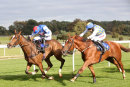 Race 2 - Normal Norman (10)
