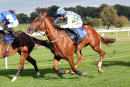 Race 2 - Normal Norman (11)