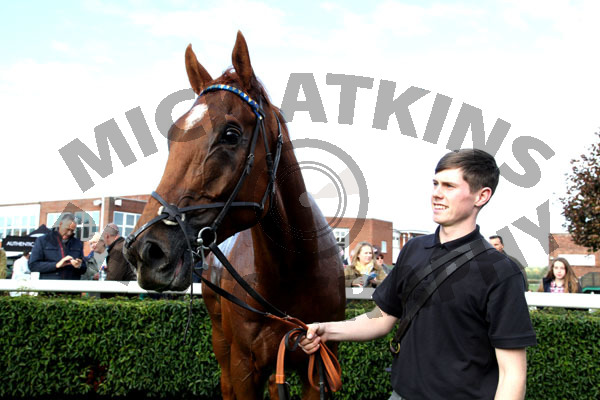 Race 2 - Normal Norman (14)