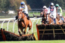 Race 2 - Normal Norman (2)