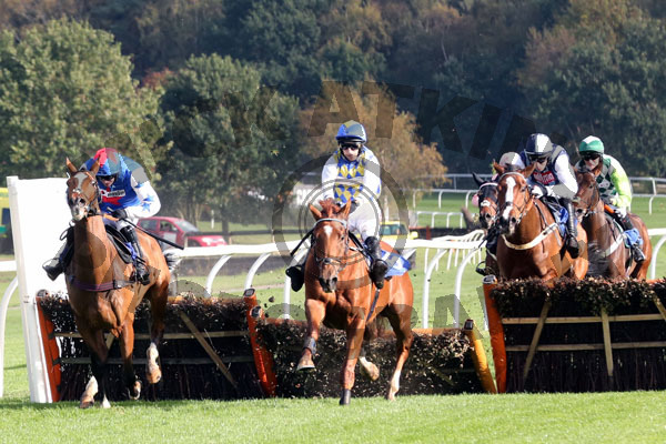 Race 2 - Normal Norman (3)