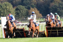 Race 2 - Normal Norman (3)