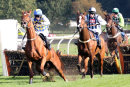Race 2 - Normal Norman (4)