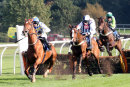 Race 2 - Normal Norman (5)